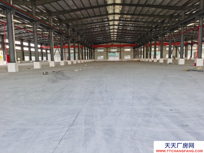 (出租) 佛山高朋 單一層標準廠房