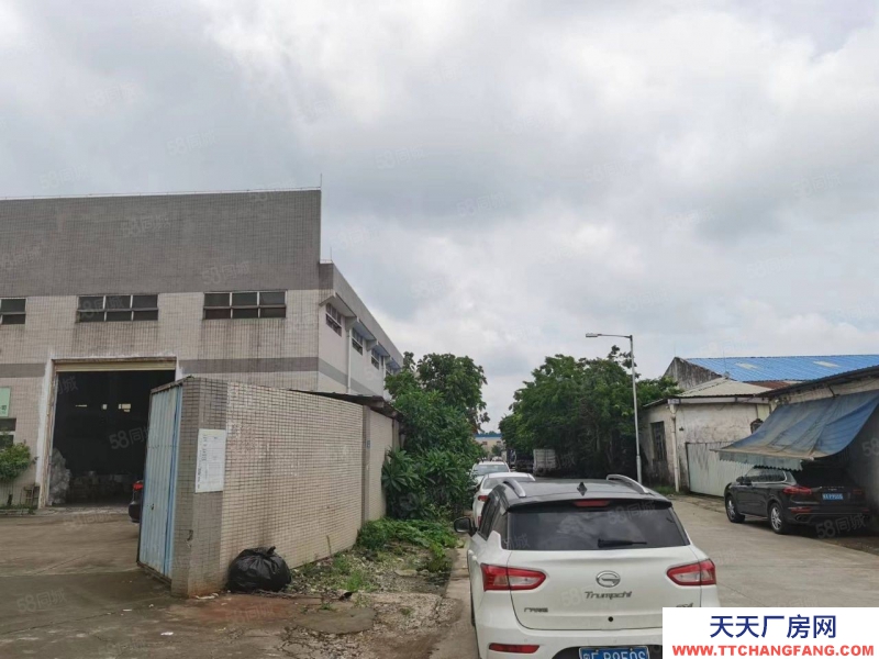 (出租) 佛山高明區小面積帶牛腿單一層可分租做五金家具機械門窗物流電子鋁材