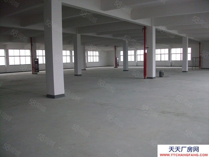 嘉興海寧(出租) 總部大廈附近底樓650平倉庫出租，層高8米，無產(chǎn)值要求