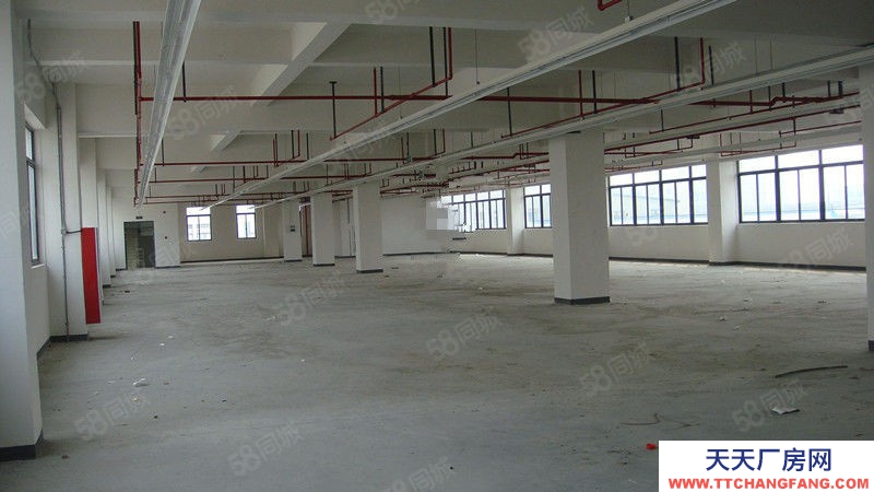 嘉興海寧(出租) 總部大廈附近底樓650平倉庫出租，層高8米，無產值要求