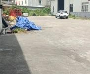 (出租) 向榮路鐵皮倉庫，可整租，可分租。