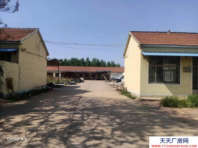 東營(yíng)廣饒有恒溫冷庫(kù)、清洗和包裝車(chē)間，配套設(shè)施非常完善。