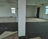 (出租) 新大洲大道媽祖廟附近