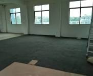 (出租) 新大洲大道媽祖廟附近