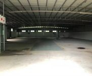 (出租) 江東新區800平簡易廠房 可進9.6米 價格便宜