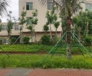 (出售) 屬于江東區(qū)拆遷地段，三層，