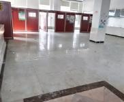 (出租) 位于新埠島?？谒a品綜合批發市場內