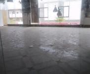 (出租) 位于新埠島海口水產(chǎn)品綜合批發(fā)市場內(nèi)