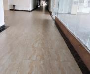 (出租) 位于新埠島海口水產(chǎn)品綜合批發(fā)市場內(nèi)