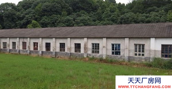 岳陽市岳陽樓區  經開區康王鄉好廠房