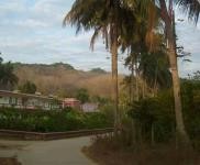 (出租) 公司小樓大院環境優雅居住商用均可。