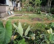 (出租) 公司小樓大院環境優雅居住商用均可。