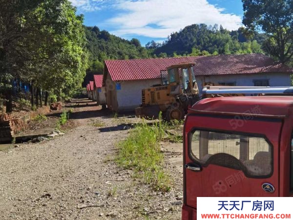 岳陽市岳臨湘區 臨湘火車站S206省道旁房東自建獨院廠房倉庫直接出租