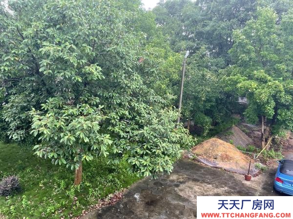 岳陽市岳華容區 超大停車場，湖南湖北交界處，高速路口十，便宜出租