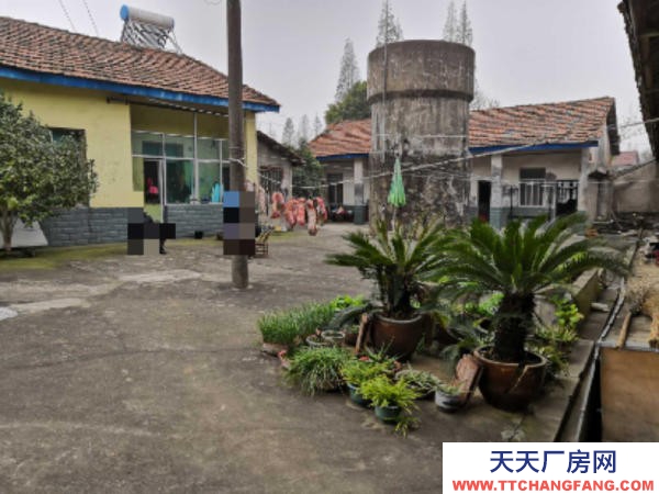 岳陽市岳華容區(qū) 廠房出租,適合門面、房產(chǎn)開發(fā)、腌制酸豆角、榨菜等