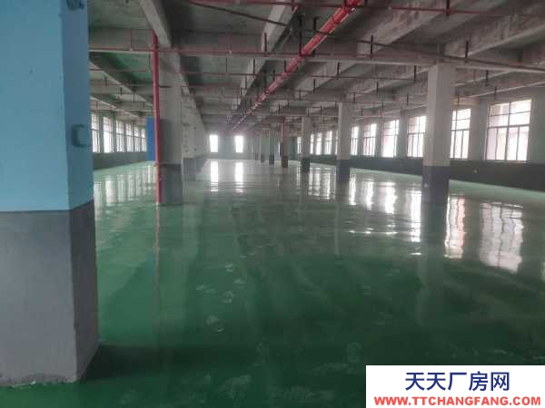 岳陽市岳華容區 出租華容高新技術產業開發區全新標準廠房出租