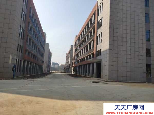 岳陽市岳華容區(qū) 出租華容高新技術(shù)產(chǎn)業(yè)開發(fā)區(qū)全新標(biāo)準(zhǔn)廠房出租