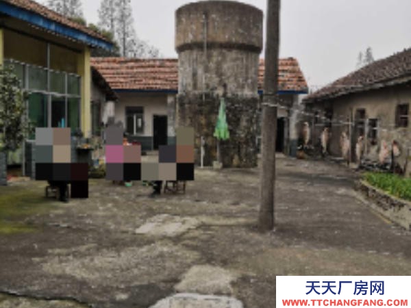 岳陽市岳華容區 出售廠房,適合門面、房產開發、腌制酸豆角、榨菜等