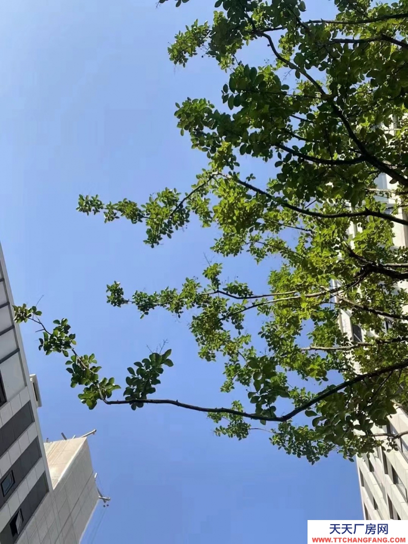 主城區(qū)三環(huán)邊 地鐵口 產(chǎn)權(quán)可分割品質(zhì)園區(qū) 面積500-12000㎡出售