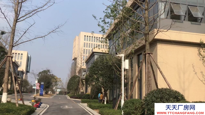 高新西區華為、京東方、富士康旁的電子類園區600-24000㎡可選