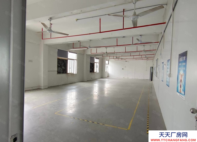 (出租) 深圳福永大洋田原房東獨棟獨院4800平廠房出租精裝修低價倉庫出租