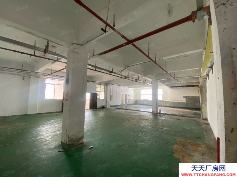 (出租) 深圳沙井衙邊村新出樓上463平米精裝修原房東.價(jià)格美麗