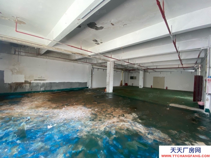 (出租) 深圳沙井衙邊村新出樓上463平米精裝修原房東.價(jià)格美麗