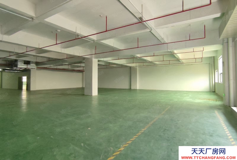 (出租) 深圳石巖塘頭工業園區獨棟廠房1000平起廠房倉庫出租電子辦公