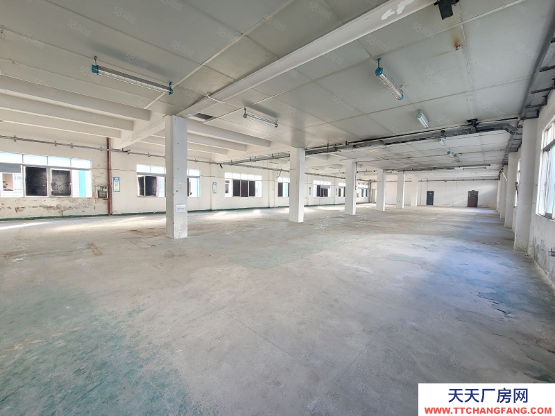 (出租) 深圳福永全新裝修1900平方倉庫廠房出租300平方起租低價原房東