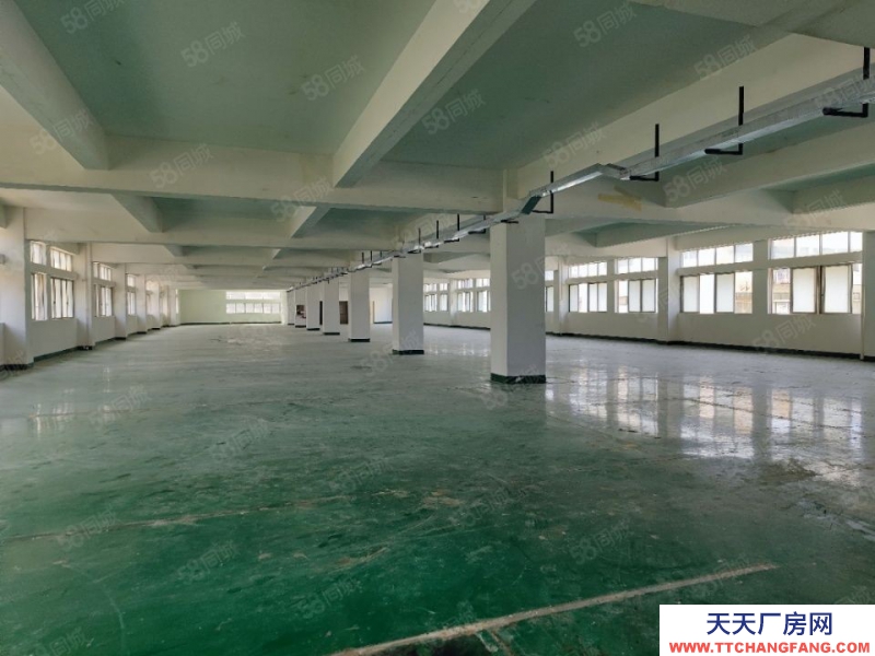 (出租) 深圳西麗獨棟9420平方可分租低價廠房出租帶卸貨平臺適合辦公研發(fā)