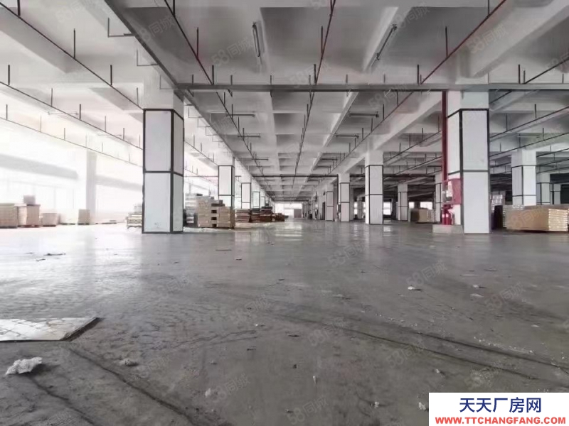 (出租) 深圳科技園原房東紅本廠(chǎng)房沒(méi)有行業(yè)限制160平起租至8000平