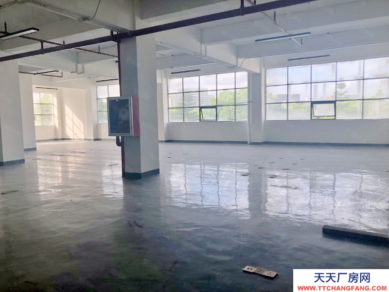 (出租) 深圳獨門獨院 整棟 3500平 南山西麗 地鐵口 一手使用率