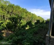 (出租) 有水有電接手可經(jīng)營(yíng)，養(yǎng)豬養(yǎng)雞都可以，有可能征用到