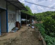 (出租) 有水有電接手可經營，養豬養雞都可以，有可能征用到