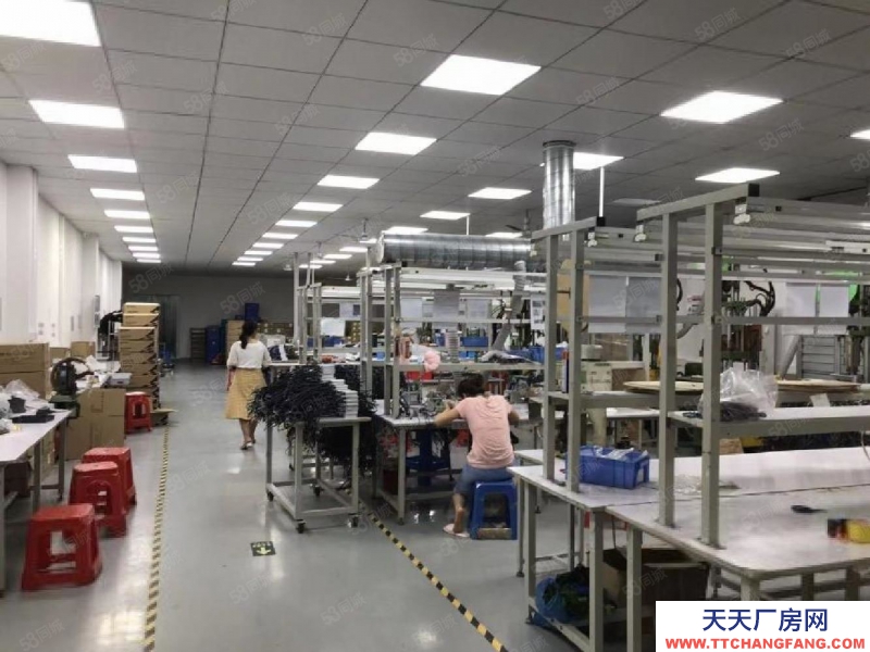 (出租) 深圳公明長圳廠房，出租1樓3300平精裝廠房出租