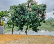 交通便利，養生休閑，位置佳。