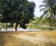 交通便利，養生休閑，位置佳。