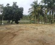 交通便利，養生休閑，位置佳。