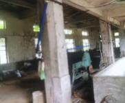 (出租) 在屯昌高速路口，加丁村路口