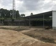 (出租) 新建房子，產(chǎn)證其全，交通便利，文羅互通下高速兩百米就到。