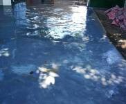 (出租) 陵水房東直租 與王偉希望小學一墻之隔