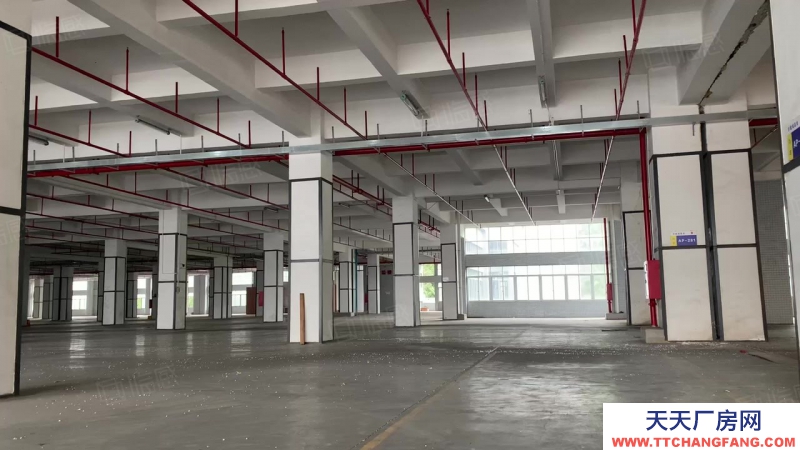 (出租) 深北中心區物流倉儲供應鏈倉庫廠房低價出租 1000平起帶貨臺