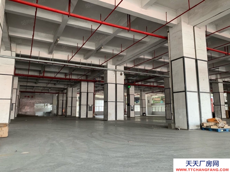 (出租) 深北中心區物流倉儲供應鏈倉庫廠房低價出租 1000平起帶貨臺