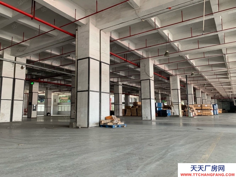 (出租) 深北中心區物流倉儲供應鏈倉庫廠房低價出租 1000平起帶貨臺