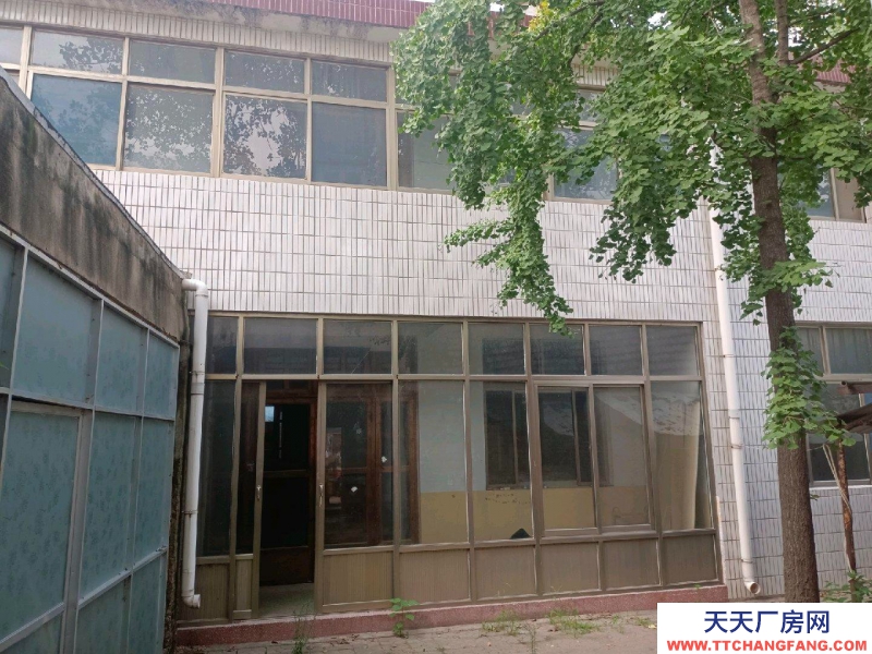 菏澤單縣獨(dú)院，在菜市場中間，水電都有，兩層半