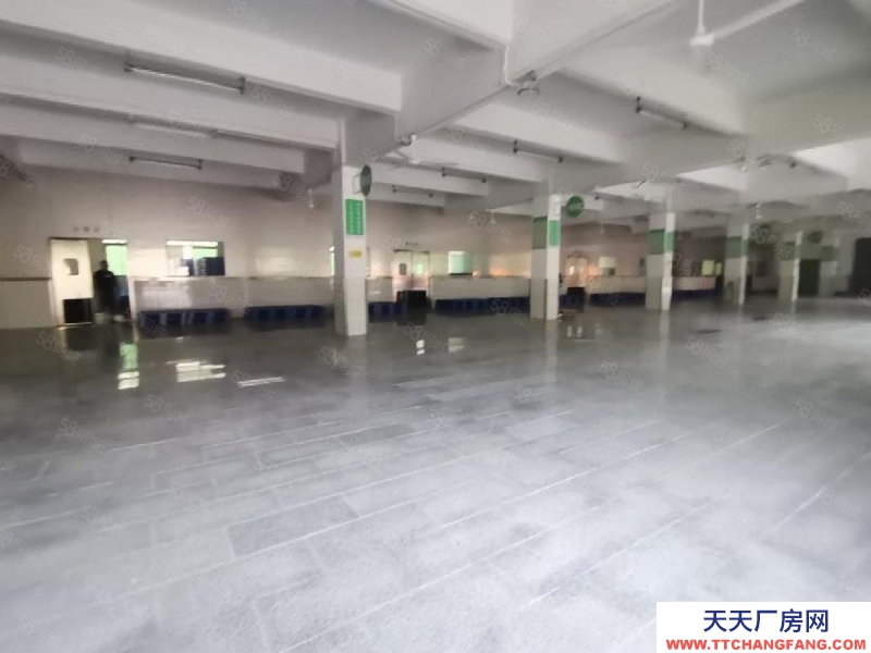 (出租) 深圳福田平湖白坭坑一樓1500平標準冷庫凍庫倉庫廠房出租