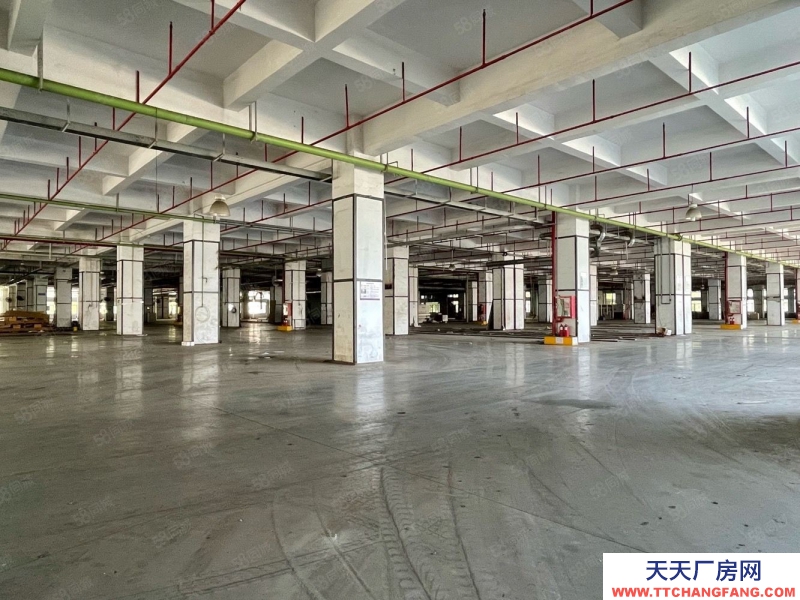 (出租) 深圳鹽田獨門獨院4萬平方廠房倉庫出租，空地大，帶貨臺,可分租