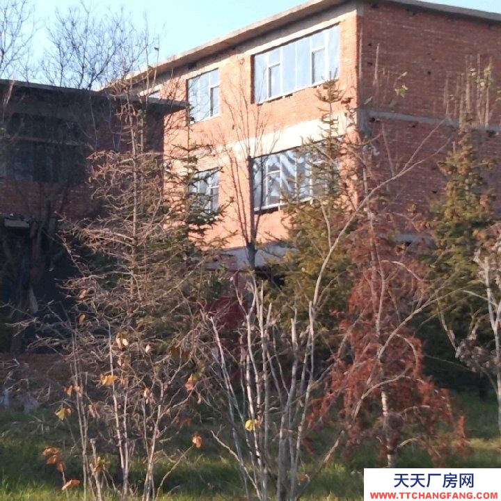 邯鄲 武安市 (出租) 西苑大街西，交通方便