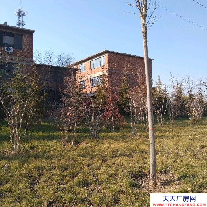 邯鄲 武安市 (出租) 西苑大街西,交通方便