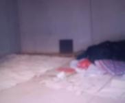 (出租) 車庫，倉庫，舉架高4米多。